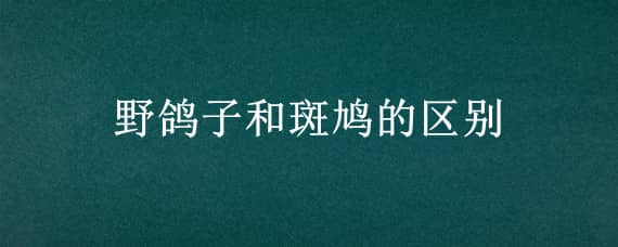 野鸽子和斑鸠的区别 野鸽子和斑鸠的区别是什么