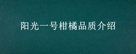 阳光一号柑橘品质介绍 阳光一号柑橘是什么品种