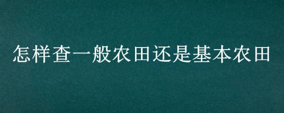 怎样查一般农田还是基本农田 怎么看农田是不是基本农田