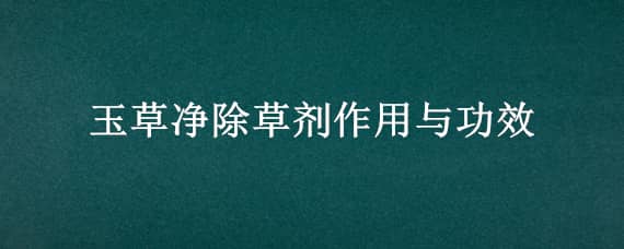 玉草净除草剂作用与功效 玉草净(玉米田除草剂