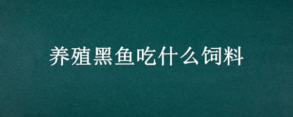 养殖黑鱼吃什么饲料（黑鱼主要吃什么饲料）