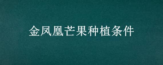 金凤凰芒果种植条件 云南金凤凰芒果熟的样子