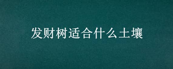 发财树适合什么土壤 发财树适合的土壤