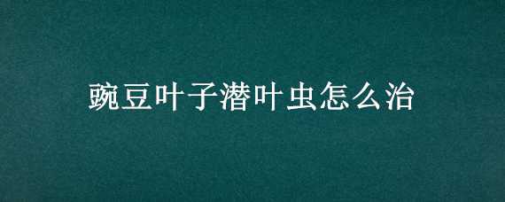 豌豆叶子潜叶虫怎么治（豌豆叶子潜叶虫怎么治最好）