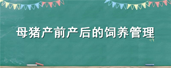 母猪产前产后的饲养管理（母猪产前和产后管理）