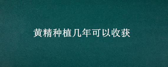 黄精种植几年可以收获 黄精一般生长几年就能收获