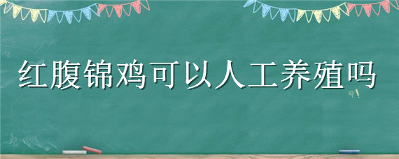 红腹锦鸡可以人工养殖吗 人工饲养红腹锦鸡