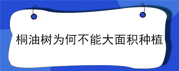 桐油树为何不能大面积种植（种植油桐树的利弊）