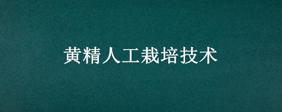 黄精人工栽培技术 黄精的栽培技术