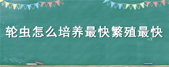 轮虫怎么培养最快繁殖最快 培养轮虫用什么效果最好