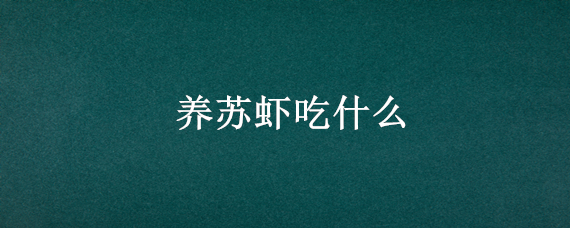 养苏虾吃什么（苏虾吃什么食物）