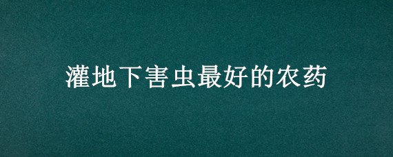 灌地下害虫最好的农药（灌地下害虫最好的农药花生还未到成熟时出地下有害虫?）