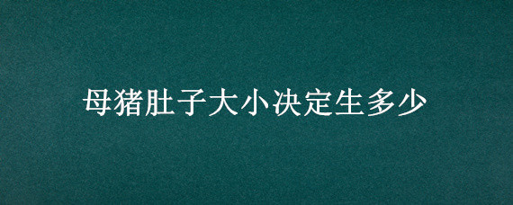 母猪肚子大小决定生多少 母猪是不是肚子越大生的越多