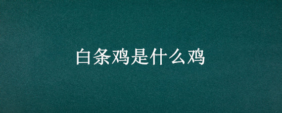 白条鸡是什么鸡 白条鸡是什么鸡?