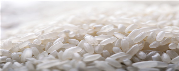 大米的生长过程是什么 大米是如何生长的
