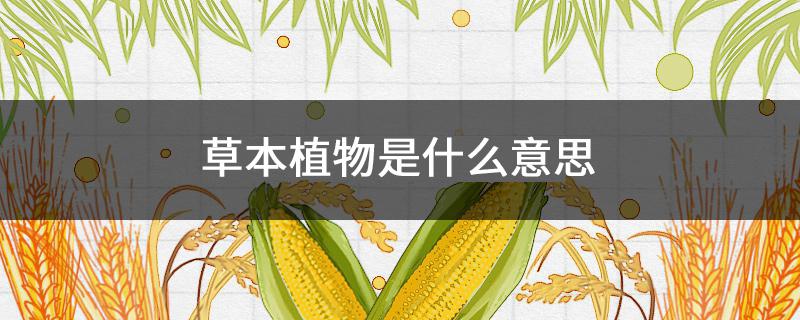 草本植物是什么意思（草本的意思是什么）