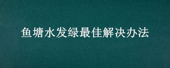 鱼塘水发绿最佳解决办法 鱼塘水发绿最佳解决办法是什么