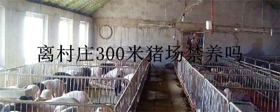 离村庄300米猪场禁养吗（建养猪场离村庄300米可以吗）