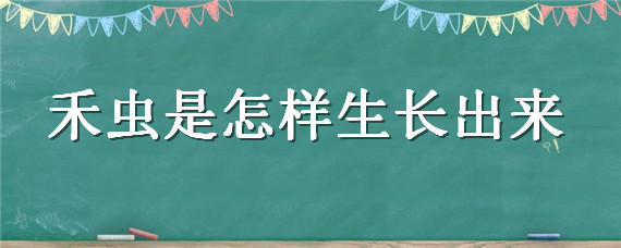 禾虫是怎样生长出来（禾虫成虫之后是什么）