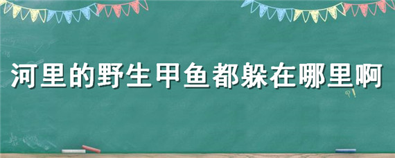 河里的野生甲鱼都躲在哪里啊 河里的野生甲鱼都躲在哪里啊顺义区北法信村旁佳和一品