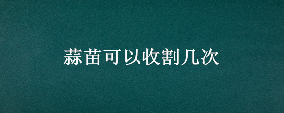 蒜苗可以收割几次（水培蒜苗可以收割几次）