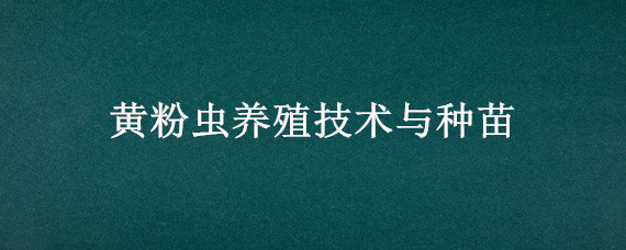 黄粉虫养殖技术与种苗（黄粉虫养殖技术 人工养殖技术）