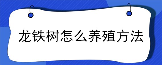 龙铁树怎么养殖方法 龙铁树的养殖方法和注意事项