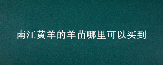 南江黄羊的羊苗哪里可以买到 南江黄羊在哪里买