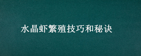 水晶虾繁殖技巧和秘诀 水晶虾怎么繁殖出好的品种