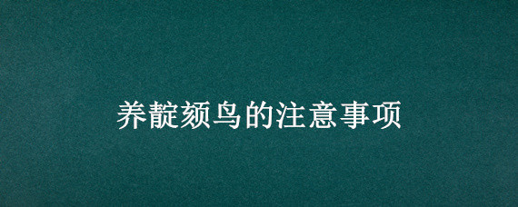 养靛颏鸟的注意事项 靛颏鸟的冬季饲养管理