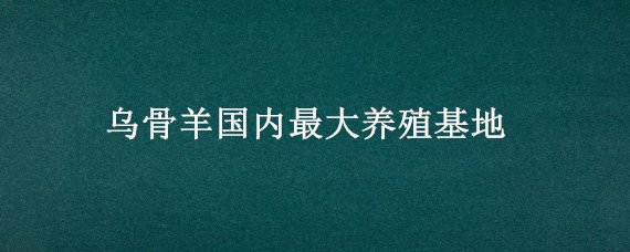 乌骨羊国内最大养殖基地（乌骨羊国内最大养殖基地电话）