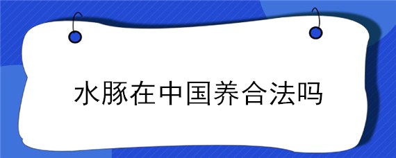 水豚在中国养合法吗（中国养海豚犯法吗）