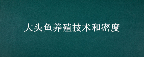 大头鱼养殖技术和密度 大头鱼的养殖密度