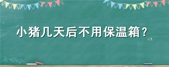 小猪几天后不用保温箱（小猪放保温箱里大约多长时间喂一次）