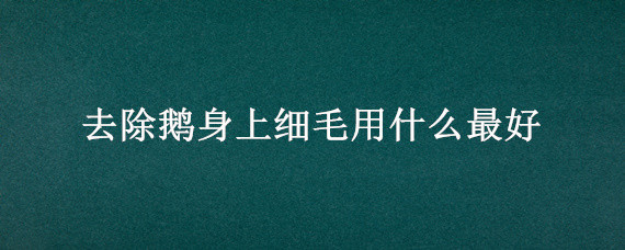 去除鹅身上细毛用什么最好 鹅身上的细毛怎样去除