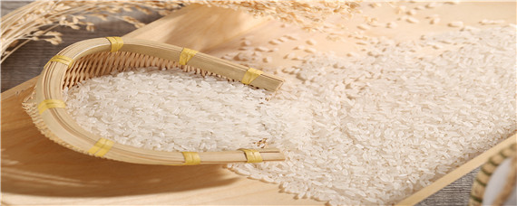 大米生产过程5步骤 大米的生产流程
