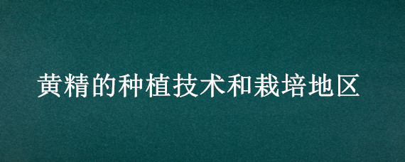 黄精的种植技术和栽培地区 黄精的栽培技术及条件