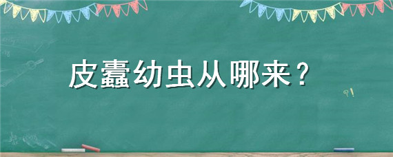 皮蠹幼虫从哪来 皮蠹的成虫