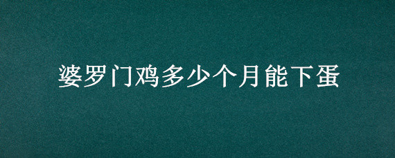 婆罗门鸡多少个月能下蛋 婆罗门鸡多久出栏