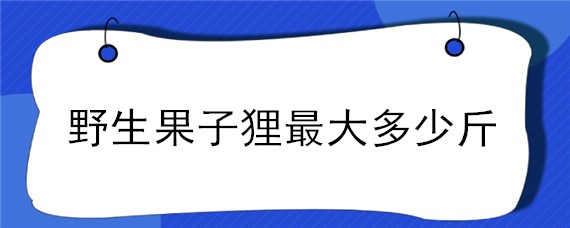 野生果子狸最大多少斤 野生果子狸一般有多少斤