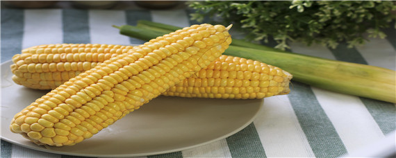 迪卡2188玉米种子积温多少 迪卡c2235玉米种子积温2188