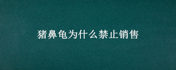 猪鼻龟为什么禁止销售 猪鼻龟不让买卖了吗