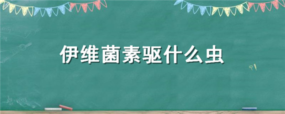 伊维菌素驱什么虫 伊维菌素配合什么药能驱虫好一点