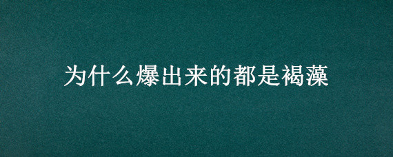 为什么爆出来的都是褐藻 爆褐藻可以不管吗