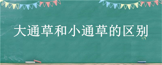 大通草和小通草的区别（大通草和小通草的区别图片）