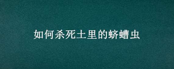 如何杀死土里的蛴螬虫 怎样杀土里的虫子