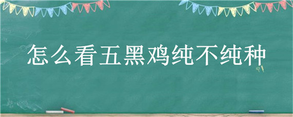 怎么看五黑鸡纯不纯种 纯种五黑鸡产地及特征