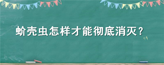 蚧壳虫怎样才能彻底消灭 多肉蚧壳虫怎样才能彻底消灭