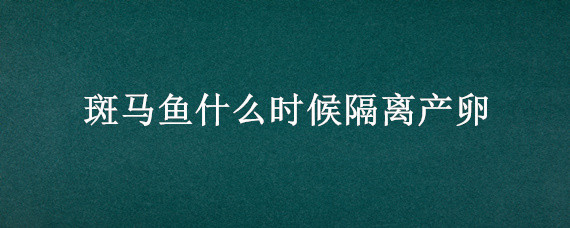 斑马鱼什么时候隔离产卵 斑马鱼产卵要隔离吗