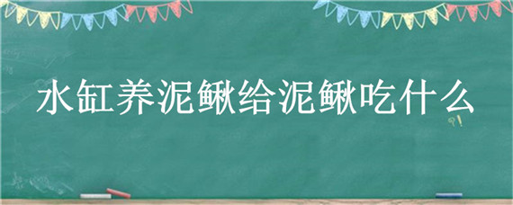 水缸养泥鳅给泥鳅吃什么（在水缸里养泥鳅有什么好处）